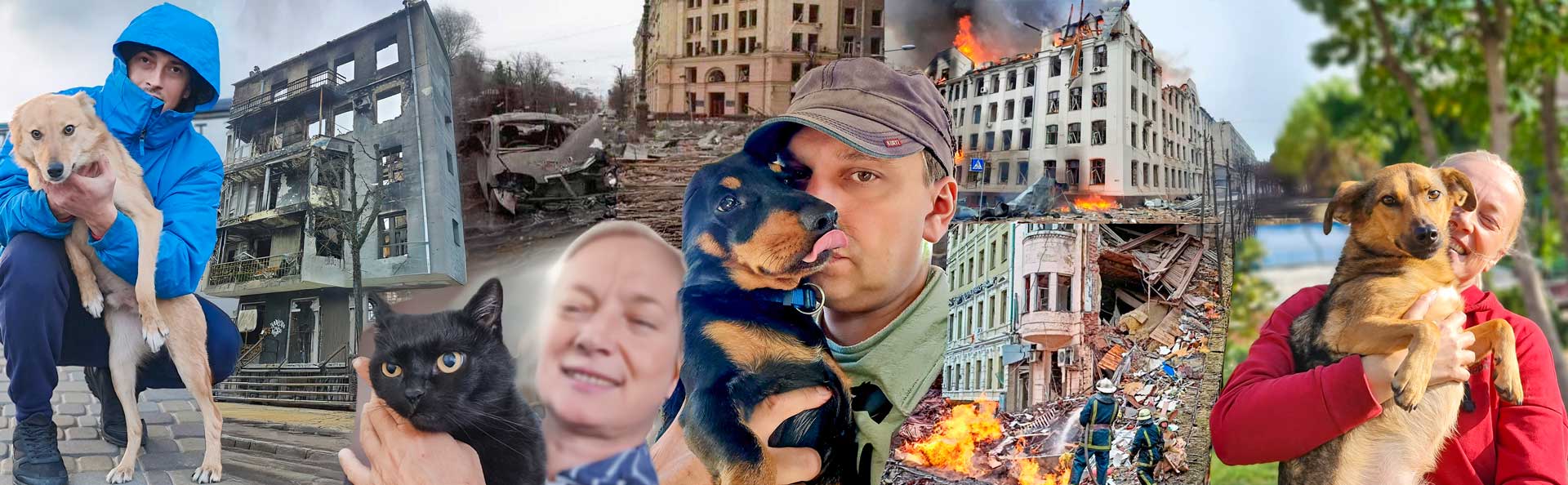 Rescued animals and frontline – Aquatec Ukraine collage